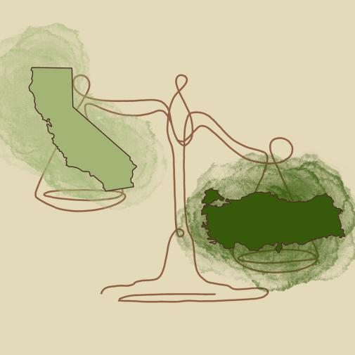 Comparison of Turkey and California Earthquakes